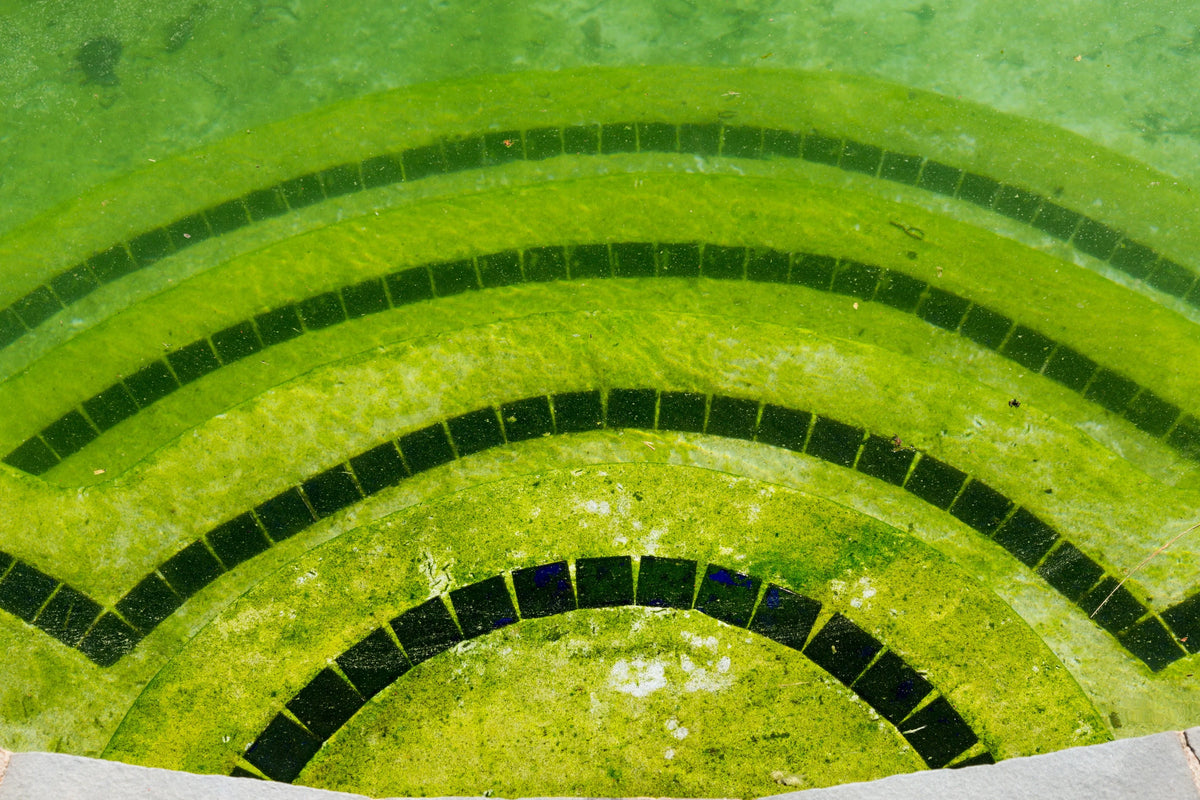 Algaecides - United Chemical